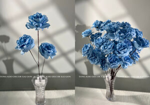 Hồng trà đại (thân to)