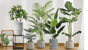 Tư vấn chọn tranh phong thủy cho người mệnh kim