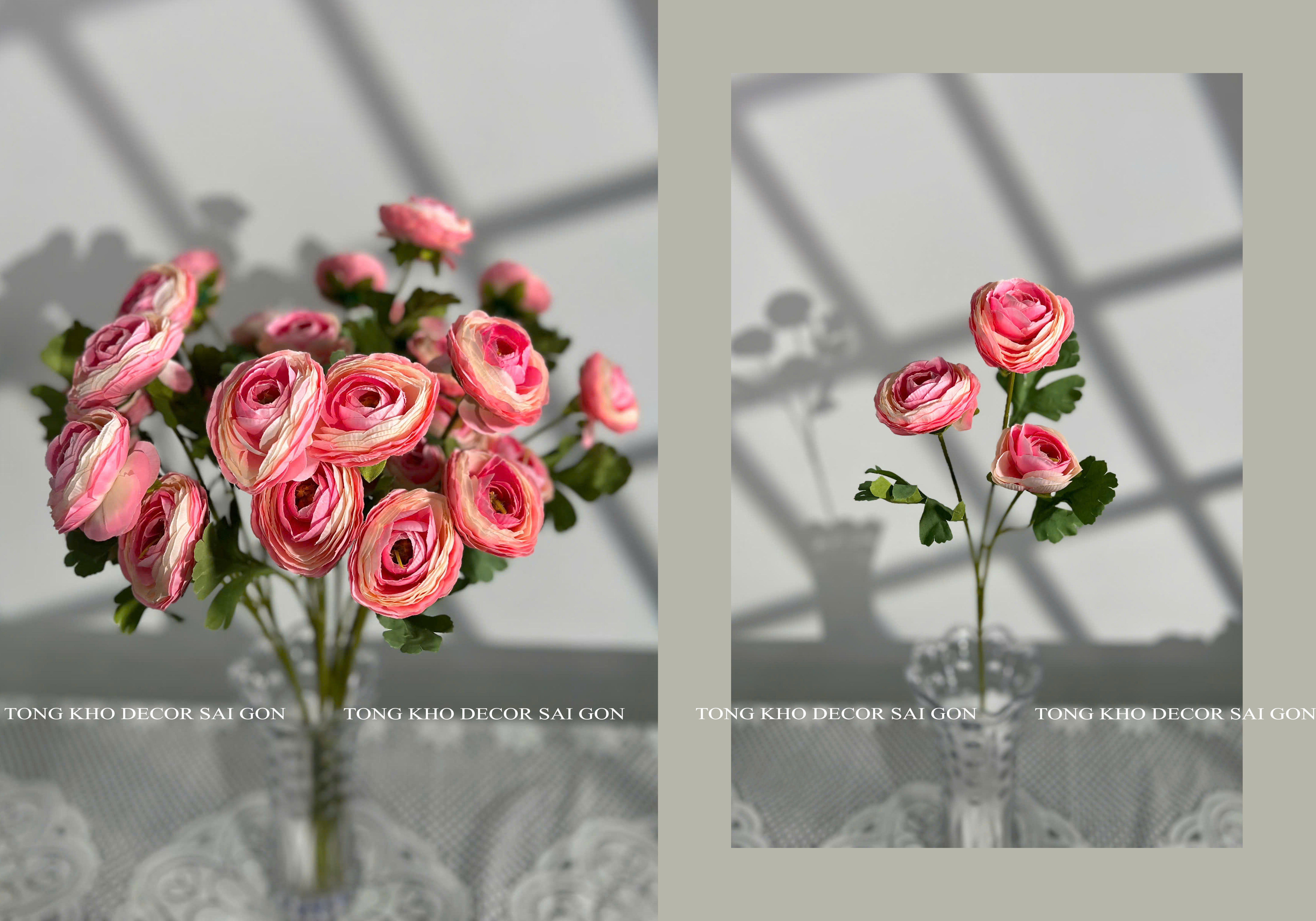 My-New-Project_01 (1)